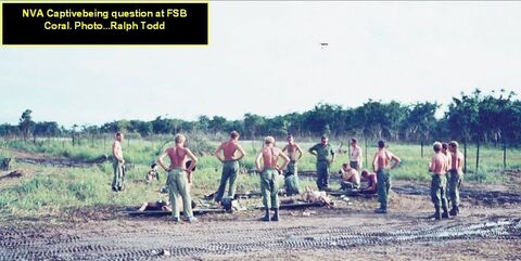 NVA Captives