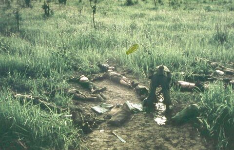NVA Dead being searched and removed in front of No 6 Gun and its MG next to 1 RAR Mortars. Hit mainly with fleshette and SA