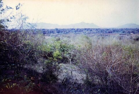 The Long Hai Hills as viewed from the western side of the Horseshoe during the morning 7.3.67