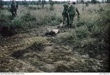 Fire Support Base (FSB) Coral. Unidentified members of 102 Field Battery, 12th Field Regiment, Royal Australian Artillery (RAA), drag away the body of a North Vietnamese Army (NVA) soldier killed the previous night during attacks on FSB Coral by the NVA\\'s 7th Division. Another Australian soldier looks on. The NVA dead were all buried in a mass grave.