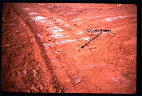 Exposed mine after clearing the Minefield